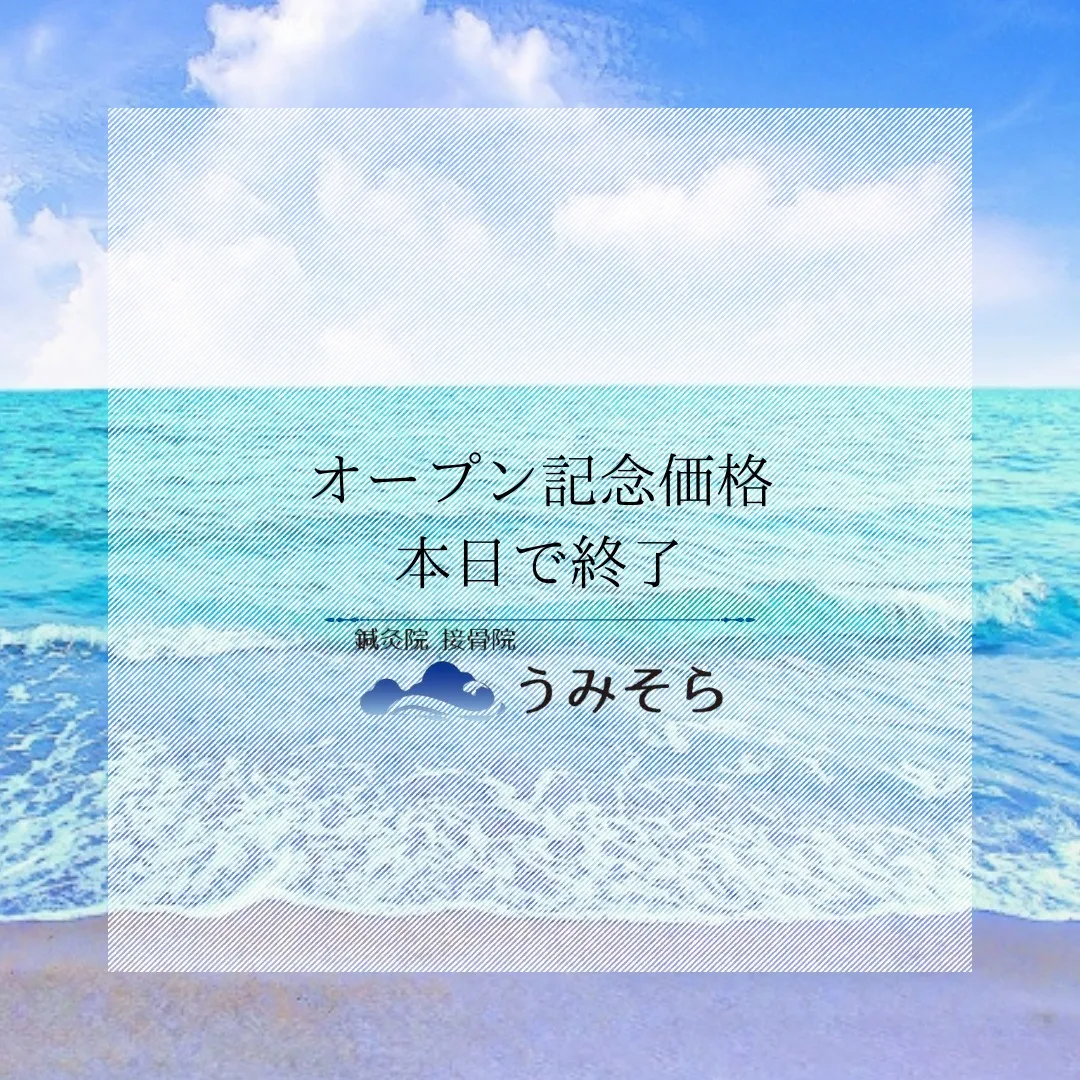 【オープン記念価格本日まで！】