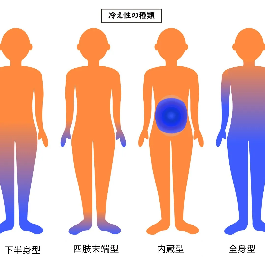 【冷えの種類について】