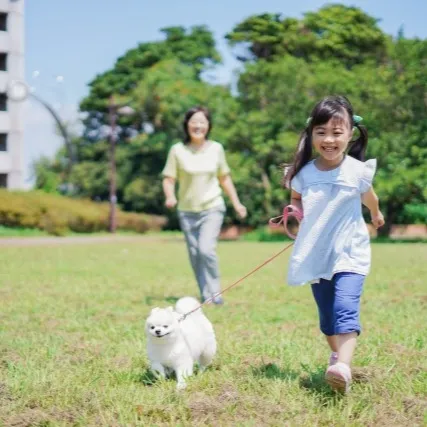 【正しい歩き方】