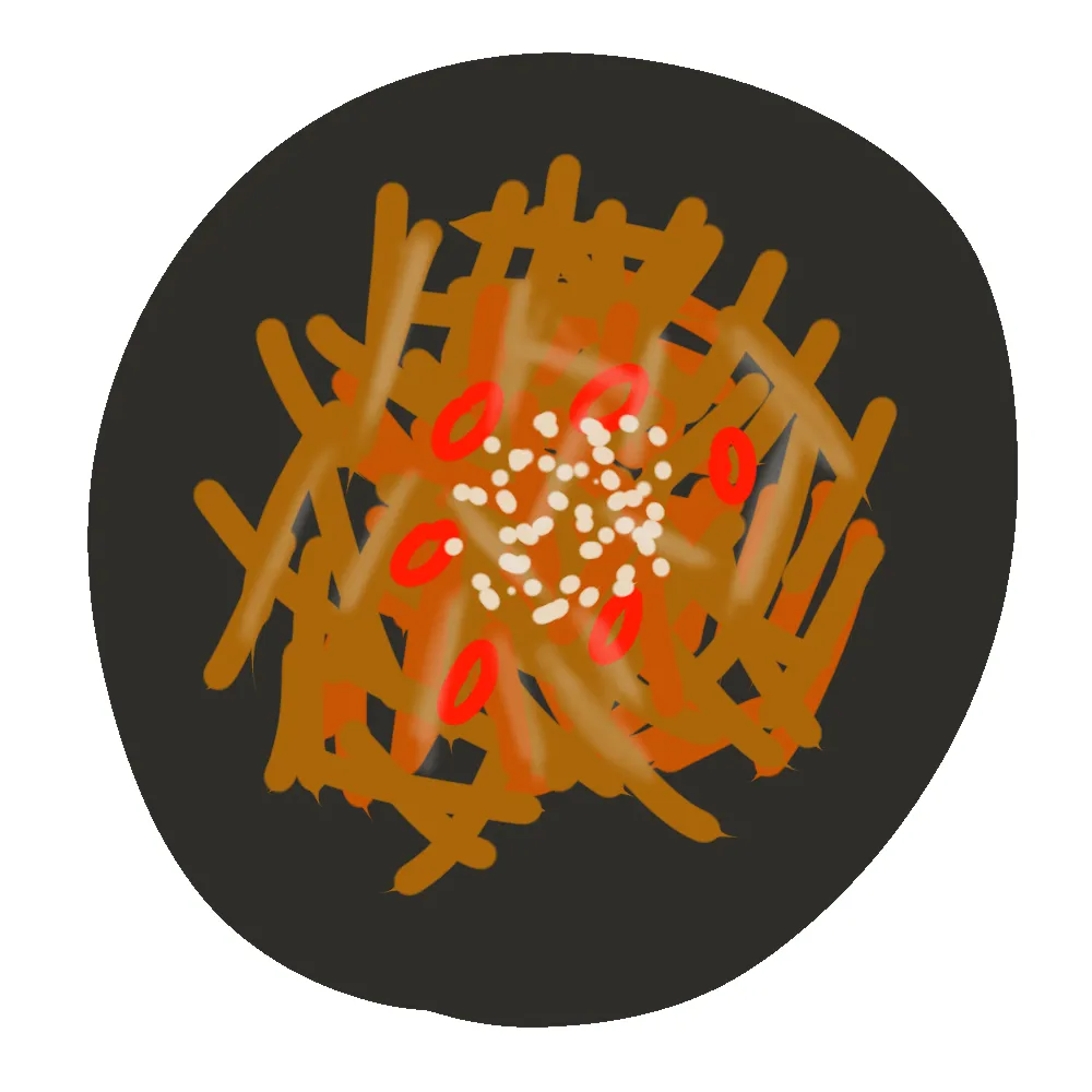 【食べ物で冷え対策！】