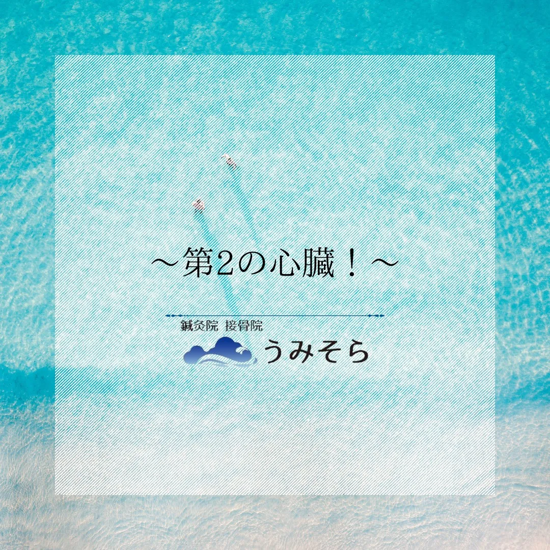 【第2の心臓！ふくらはぎ！】