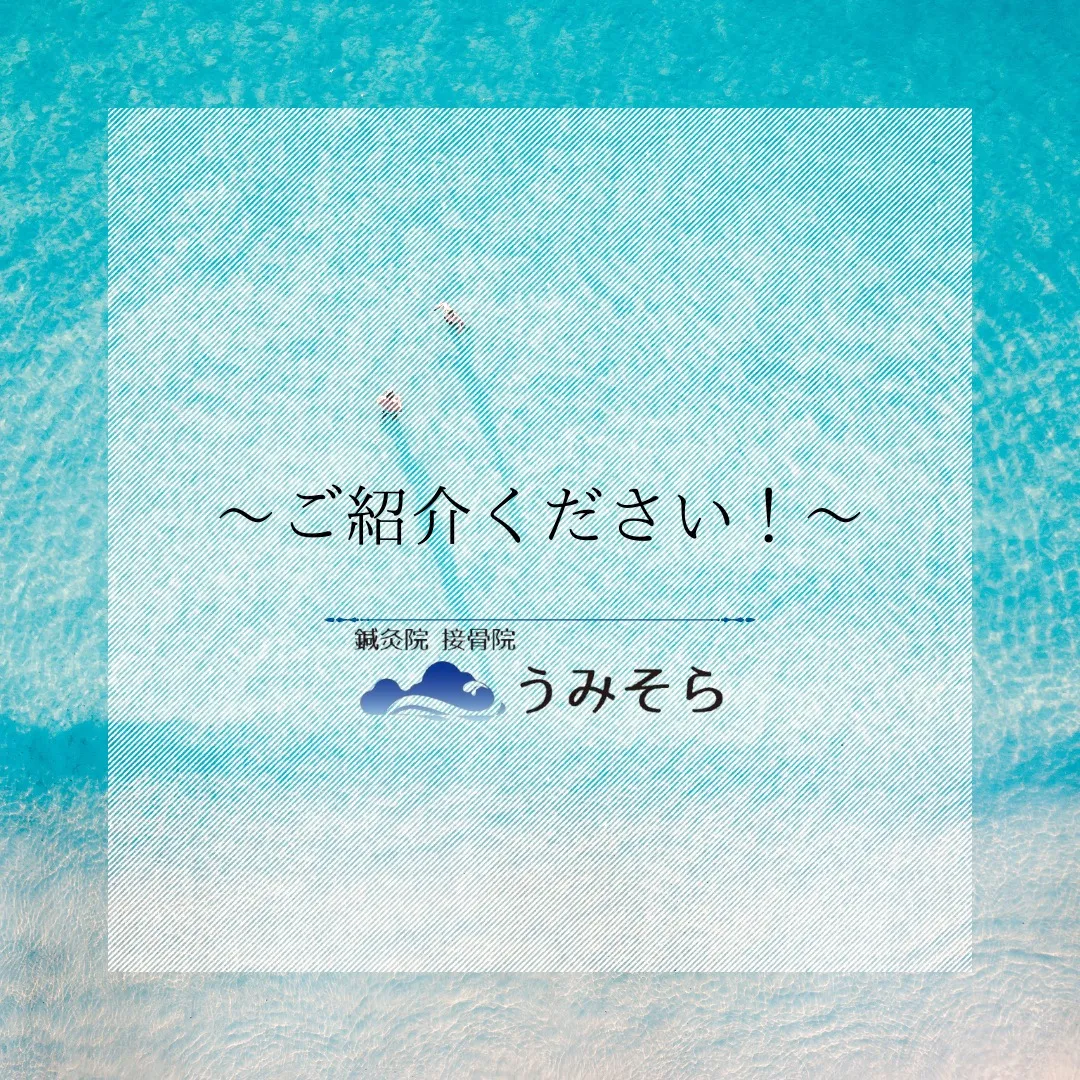 【ご紹介ください!】