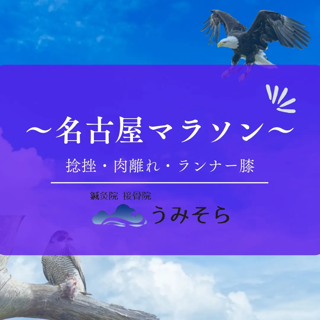 【名古屋ウィメンズ/シティマラソン】