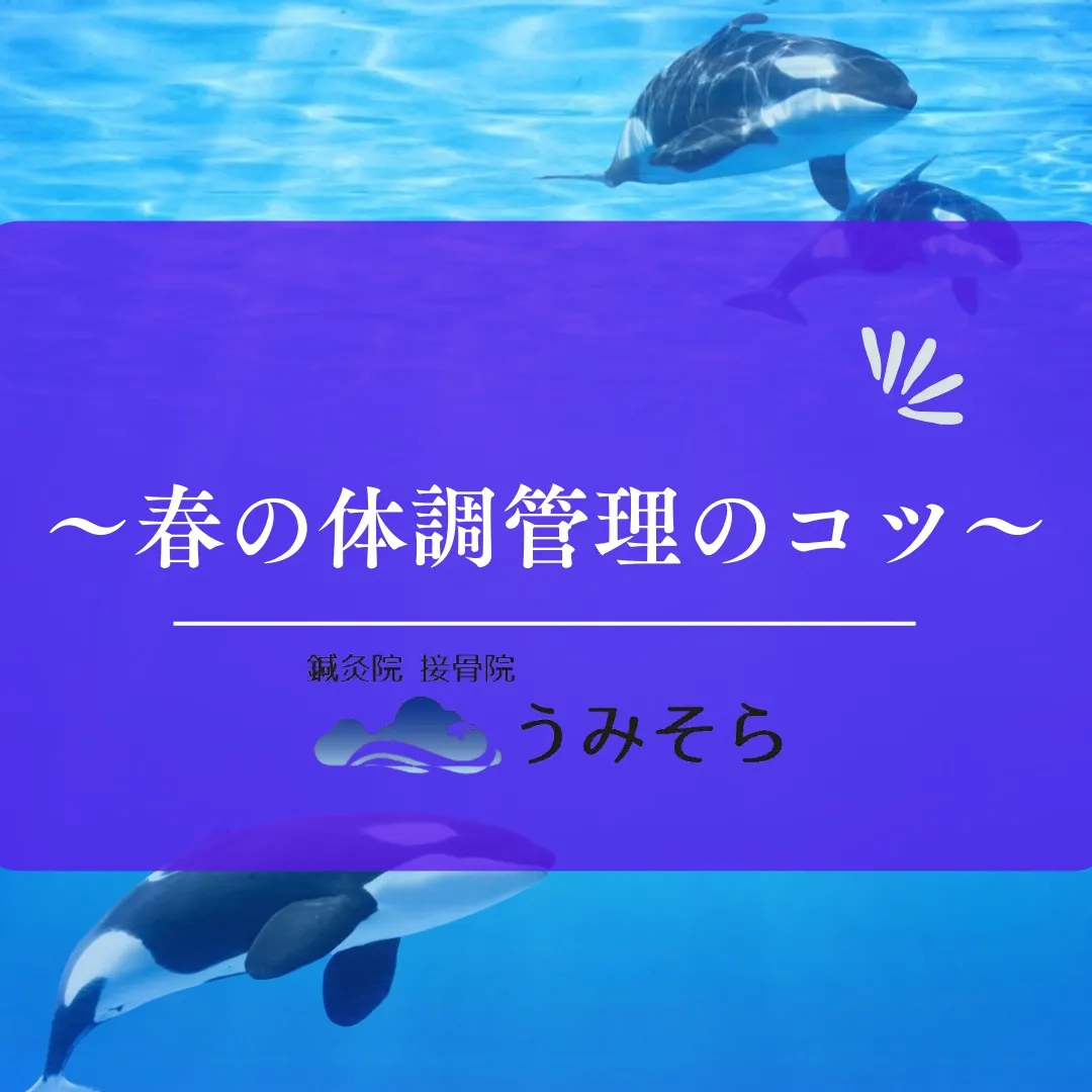 【春の体調管理のコツ】