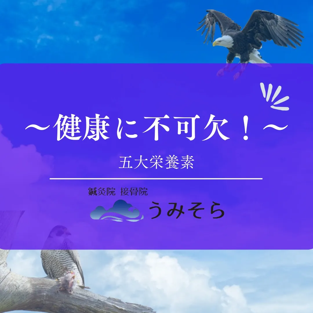 【五大栄養素とは】