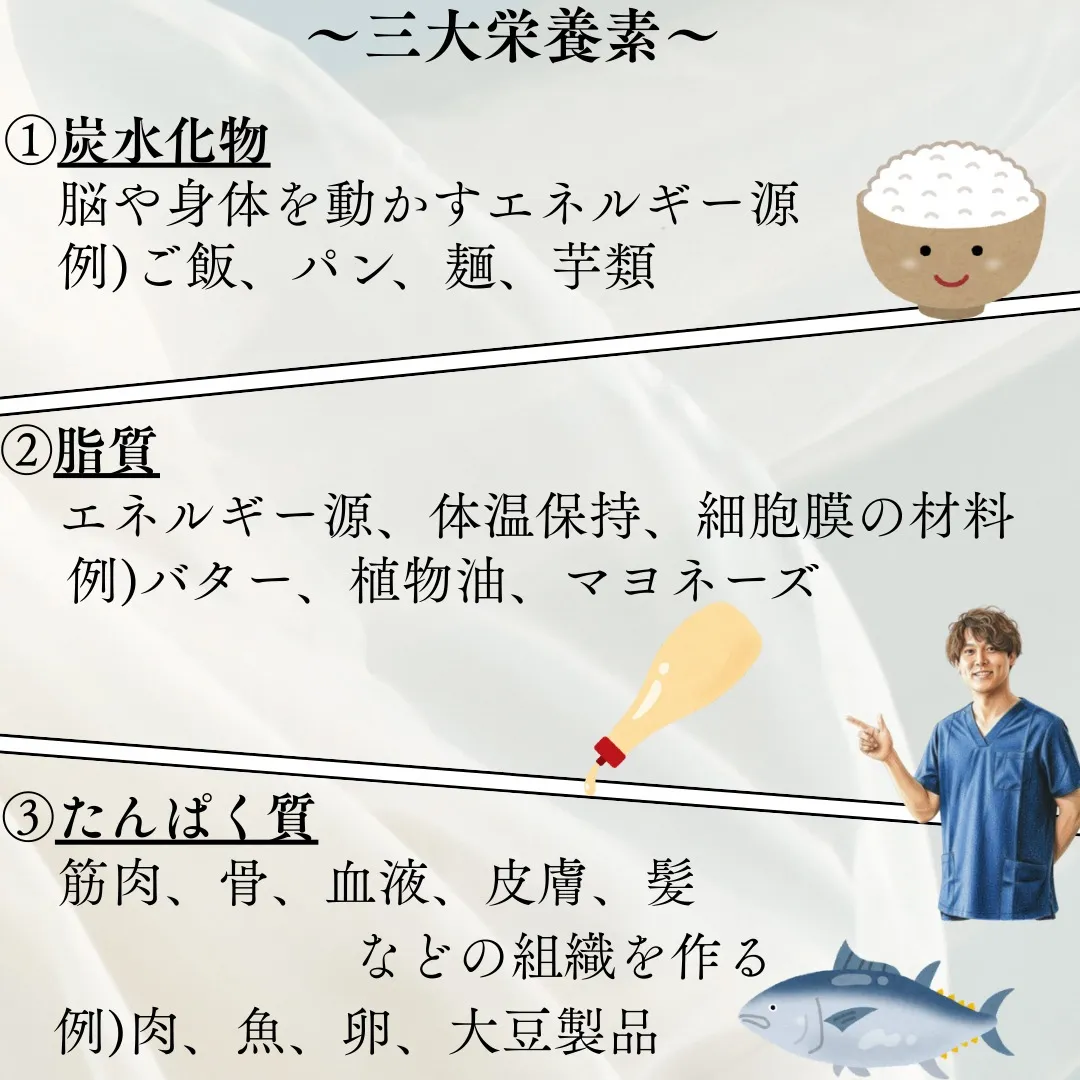 【五大栄養素とは】