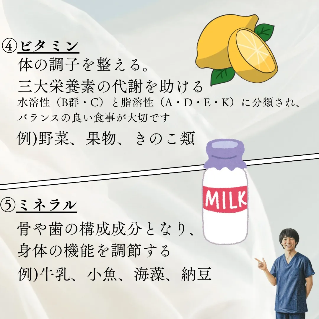 【五大栄養素とは】