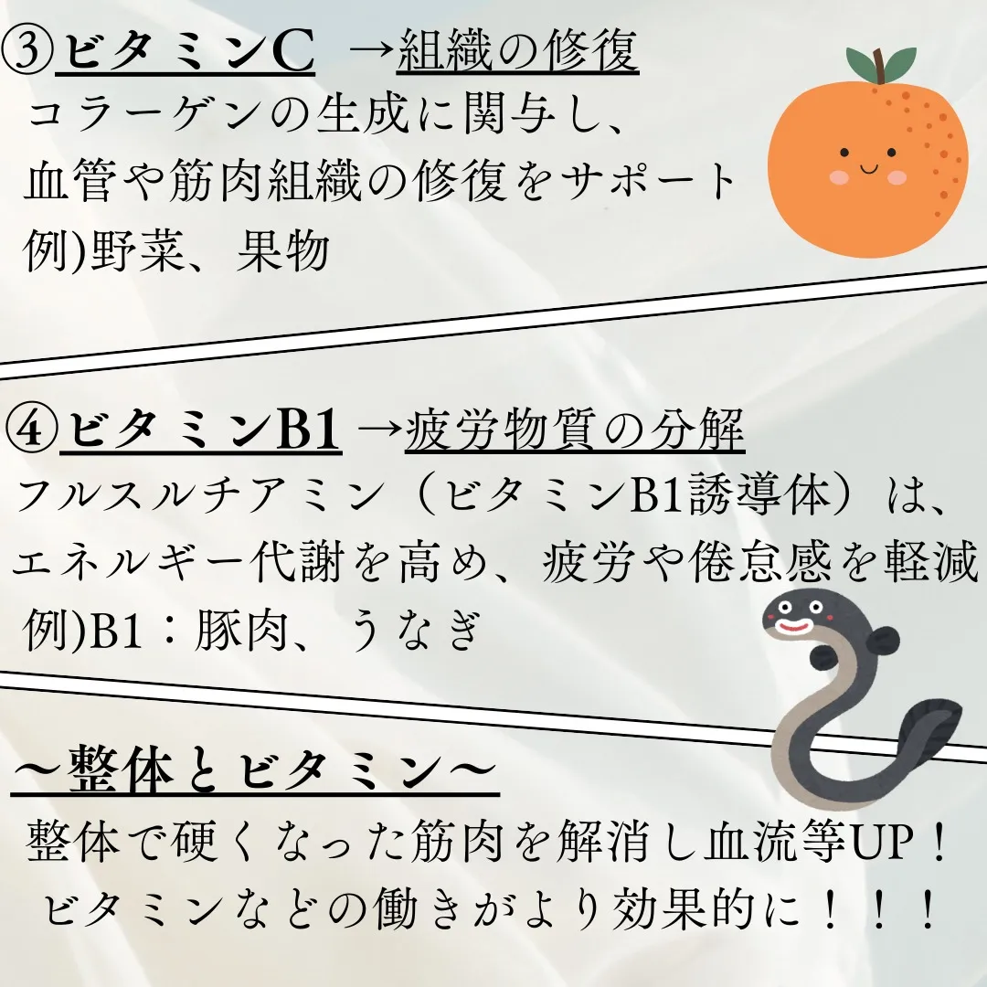 【整体とビタミン】