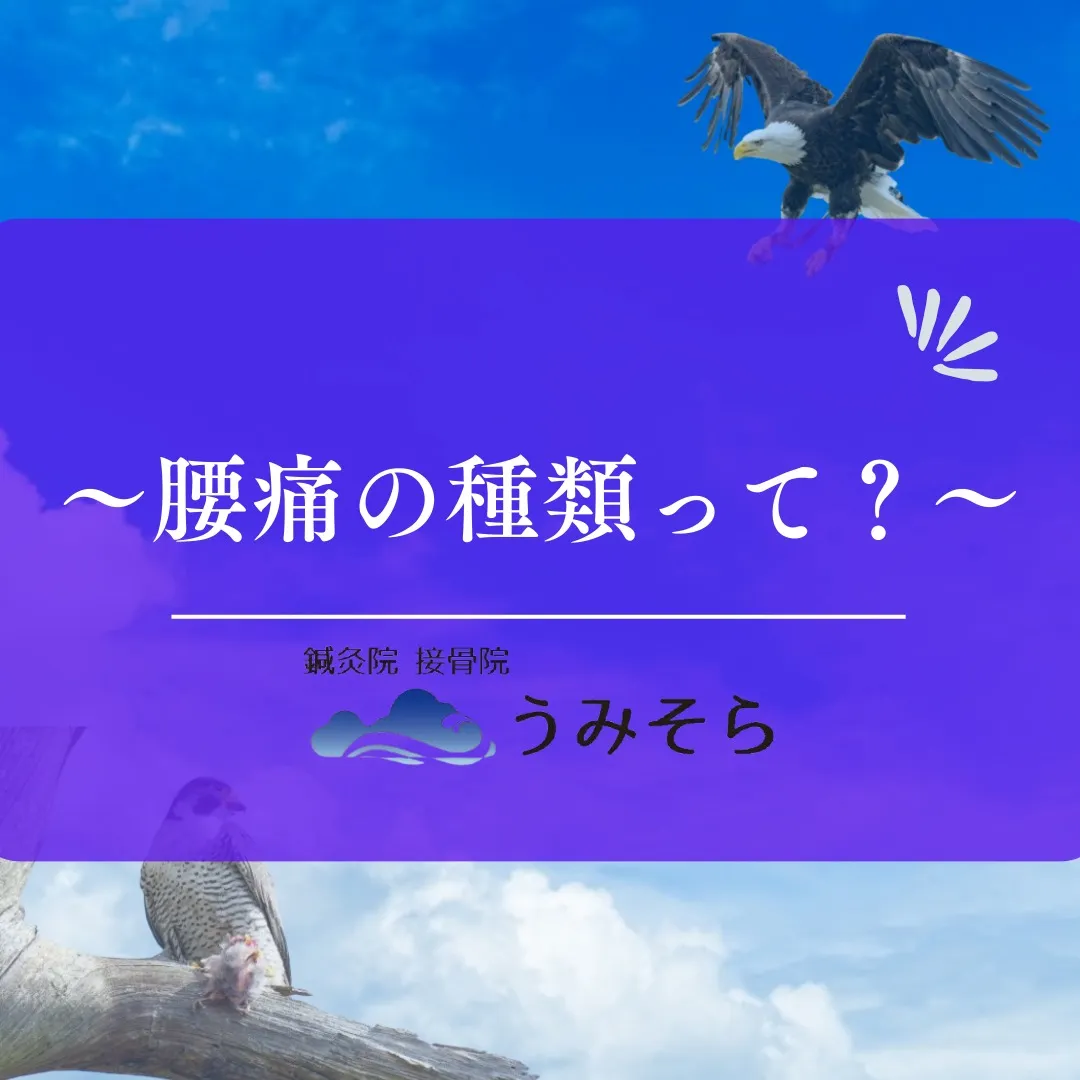 【腰痛の種類って?】