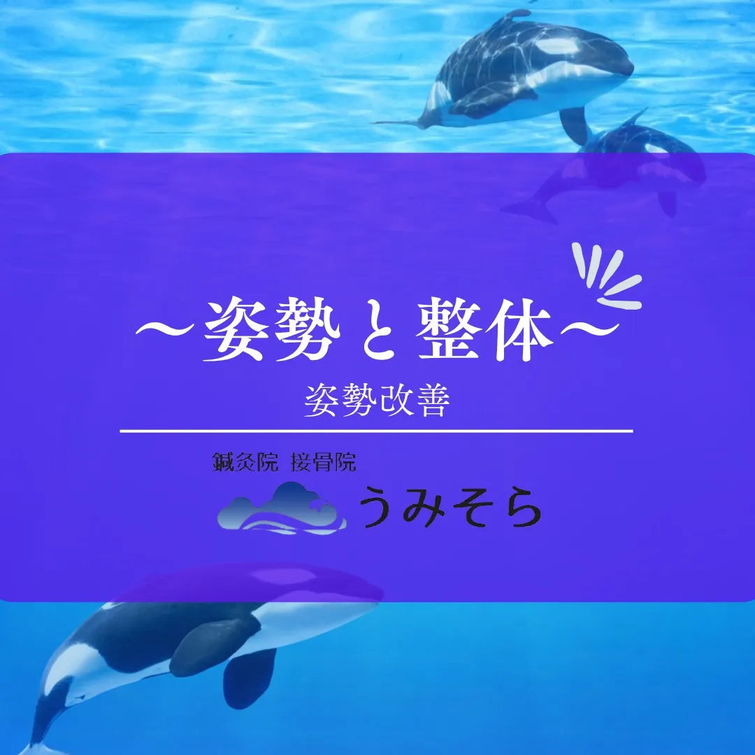 【姿勢不良解消へ!】