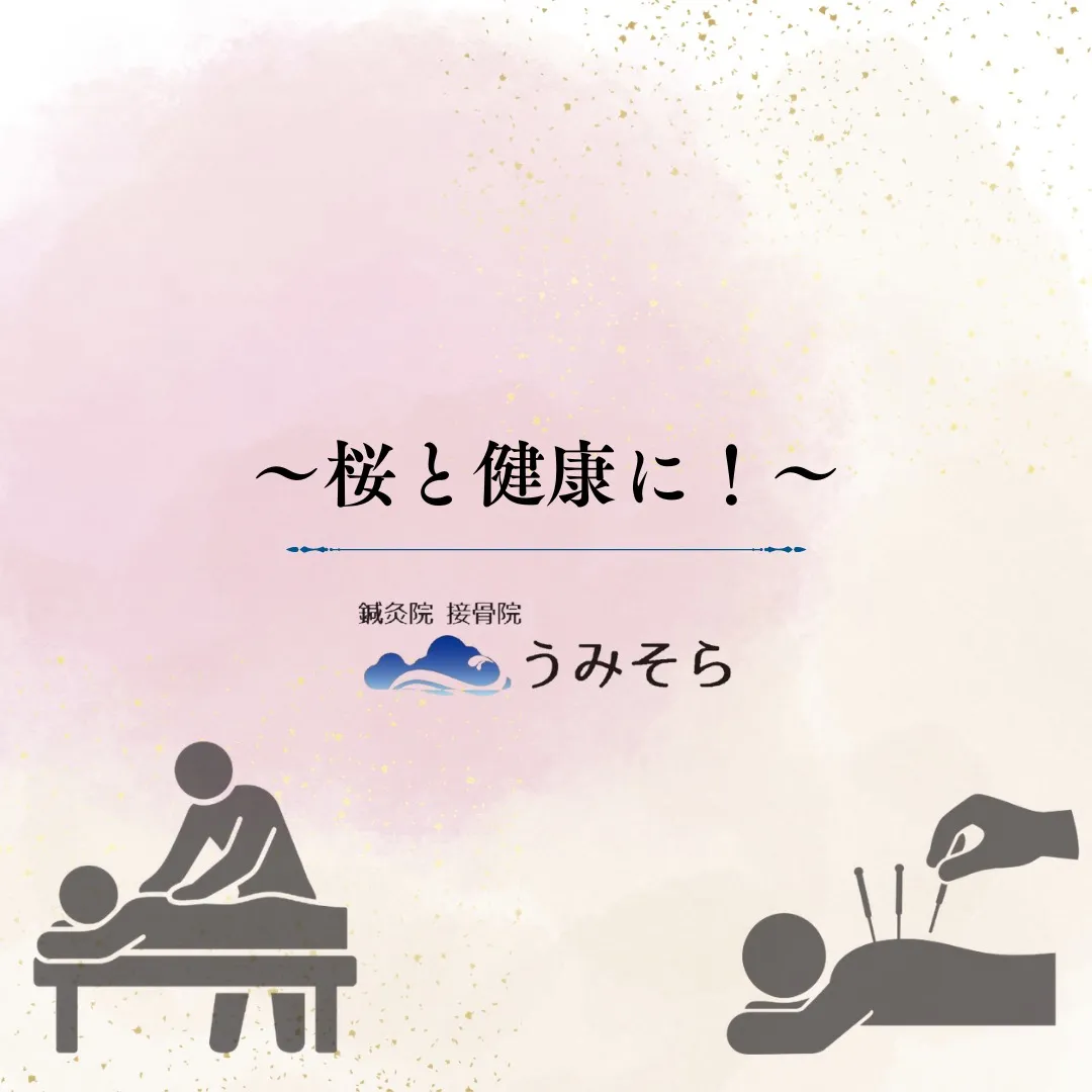 【桜(お花見)と健康に！】