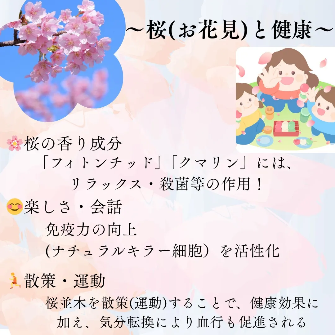 【桜(お花見)と健康に！】