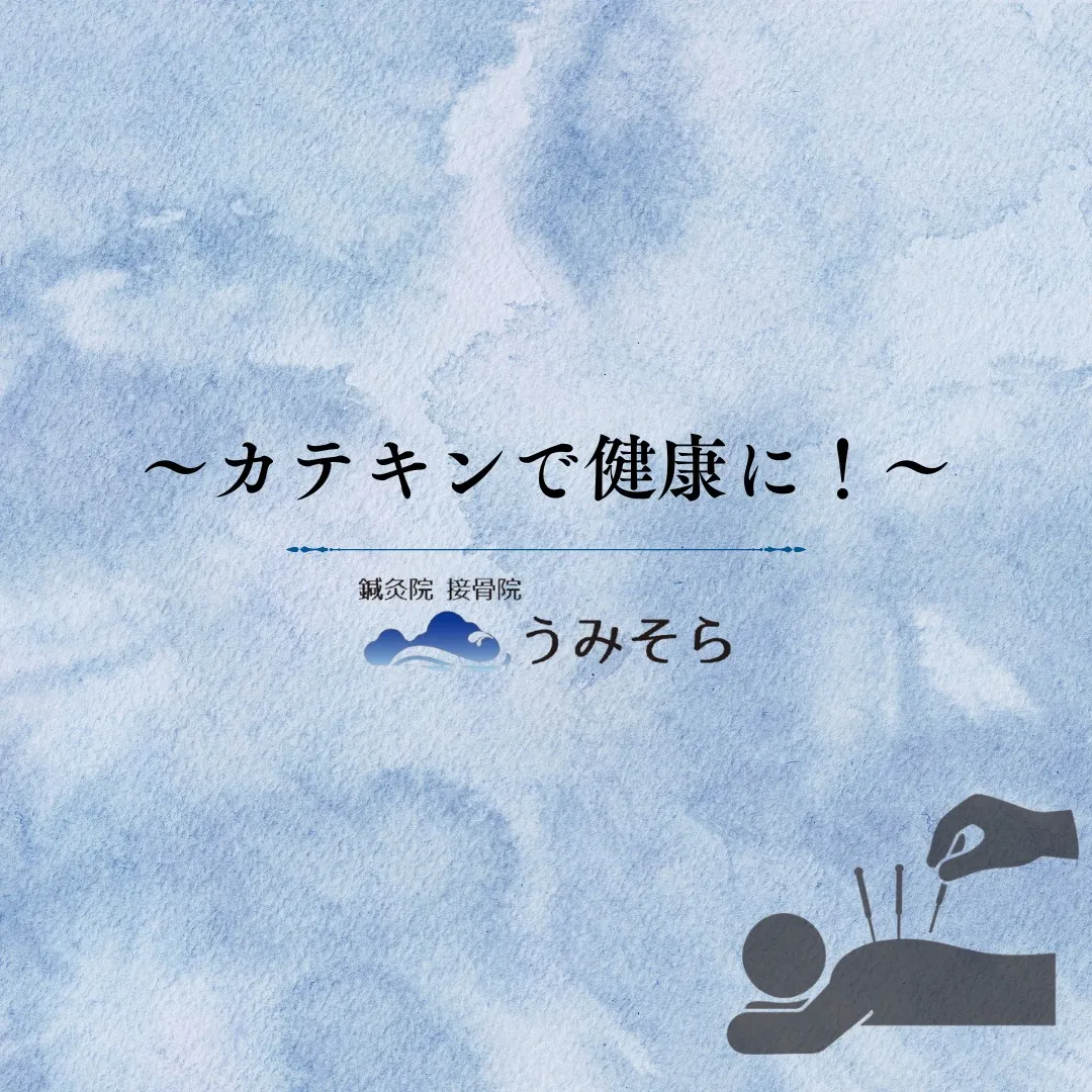 【カテキンで健康活動！】