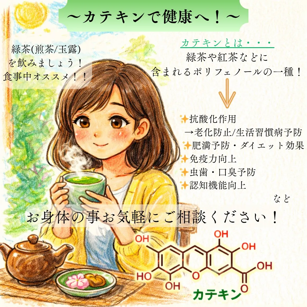 【カテキンで健康活動！】
