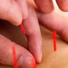 プライバシーポリシー